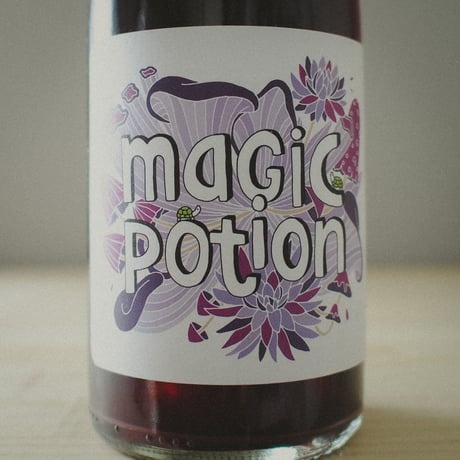ヴィニエス・トルトゥーガ "マジック・ポーション" 2021 / Vinyes Tortuga ”Magic Potion" 2021