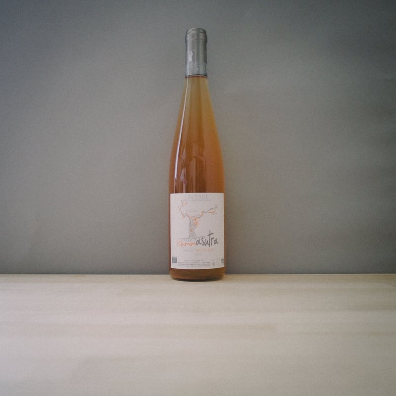 Eric Kamm - Muscat Nature 