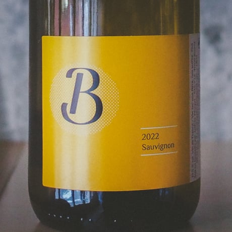 オードレイ・ピロルジェ "ベー・ソーヴィニヨン" 2022 | Audrey Pilorget "B Sauvignon" 2022