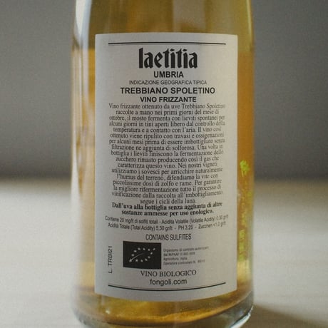 Fongoli "Laetitia Bullarum" / フォンゴリ"ラエティティア ブッラルム" 2020