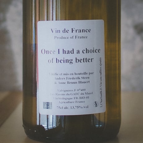 アンダース・フレデリック・スティーン Anders Frederik Steen "Once I had a choice of being better" 2021