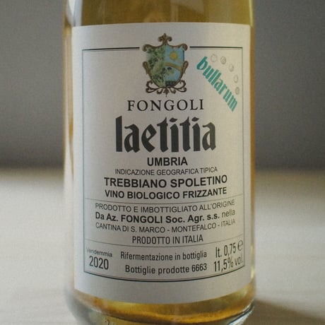 Fongoli "Laetitia Bullarum" / フォンゴリ"ラエティティア ブッラルム" 2020