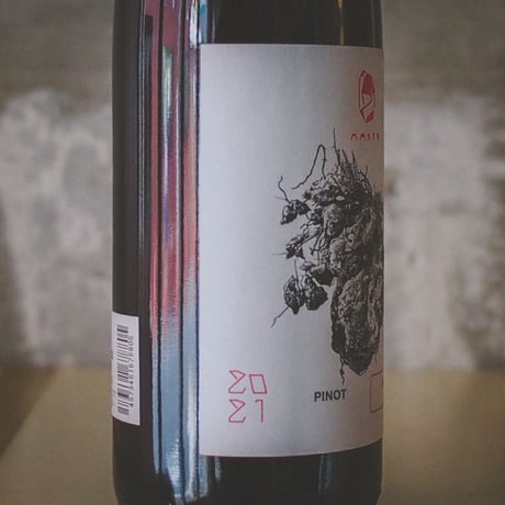 ヴァイングート・ヴェルナー "マルト ピノノワール" 2021 | Weingut Wörner "Marto Pinot Noir" 2021