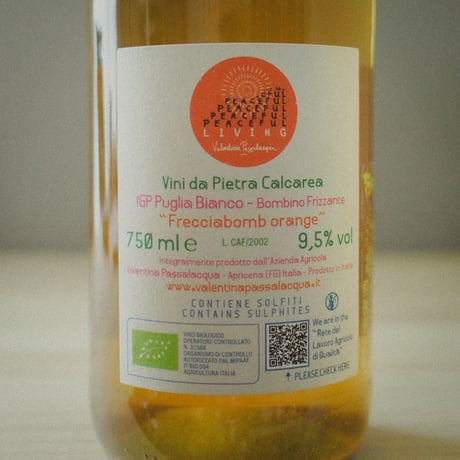 Calcarius "Frecciabomb Orange" / カルカリウス "フレッチャボンブ オレンジ" 2021