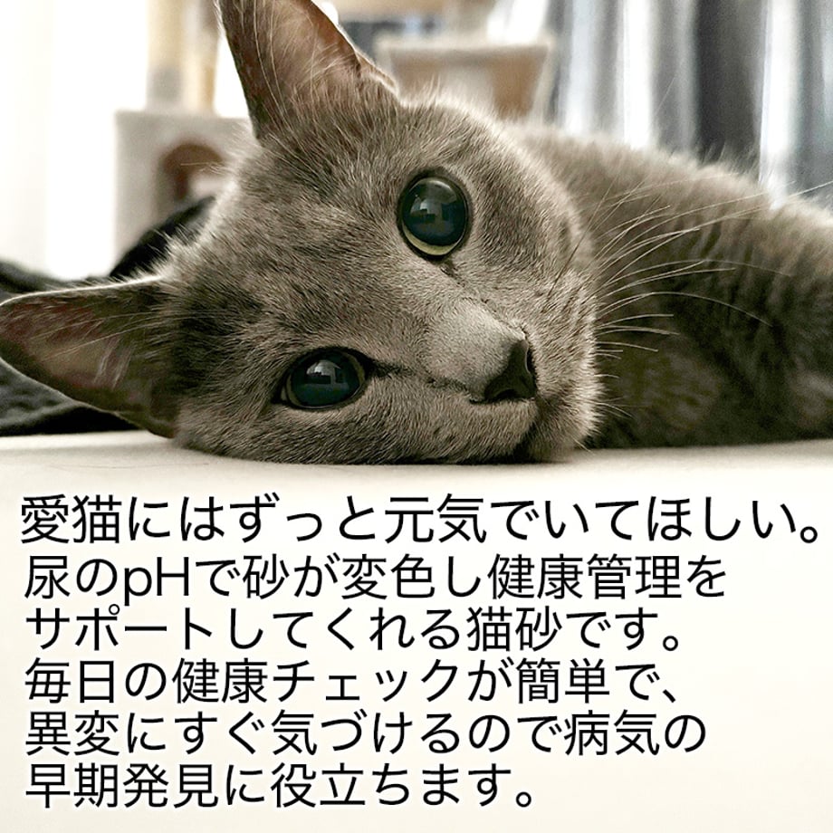 67e102c58711466cb05e6392