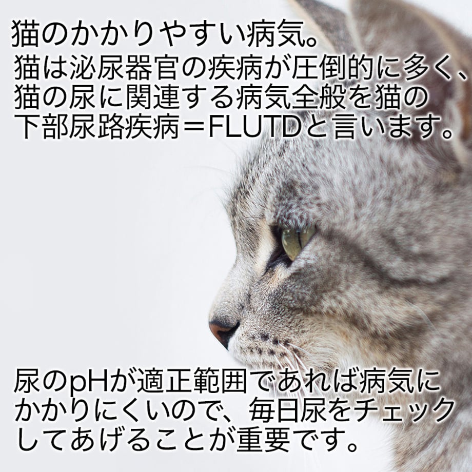 67e102c58711466cb05e6392