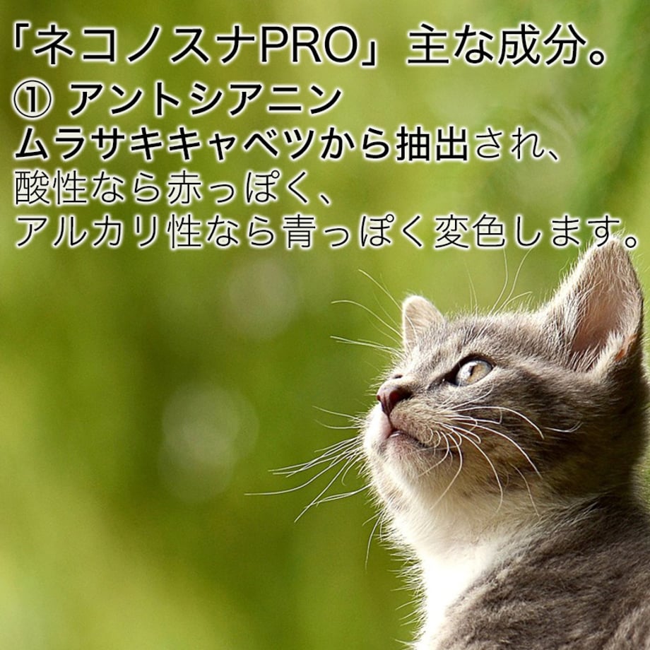 67e102c58711466cb05e6392
