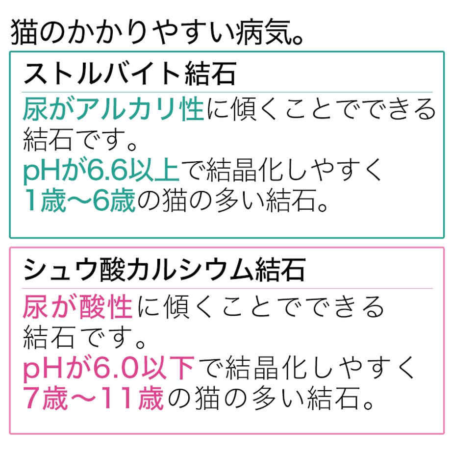 67e102c58711466cb05e6392