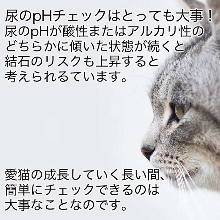 67e102c58711466cb05e6392