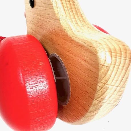 あひるの子