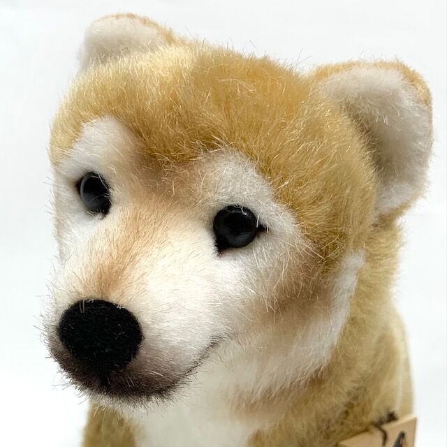KOSEN柴犬 | Baumkrone Store