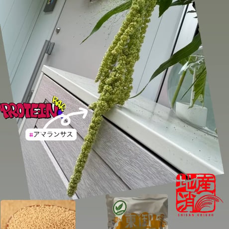 浅間山麓プロテインバー(ミックスシード)