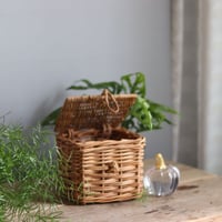 アラログバスケット