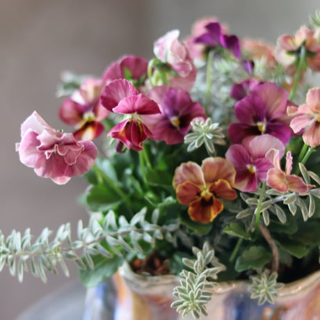 自分で植えるブリコラージュフラワー　器お花セット