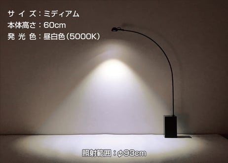 ビューネ テーブルランプ【ミディアム・ブラック】