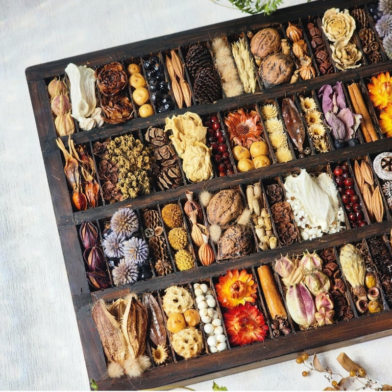 大きなアンティークトレイインテリア 植物標本ボックス | 𝑭𝒍𝒆𝒖𝒓