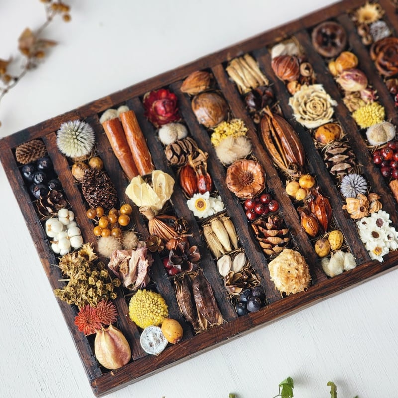 アンティークトレイインテリア 植物標本ボックス | 𝑭𝒍𝒆𝒖𝒓