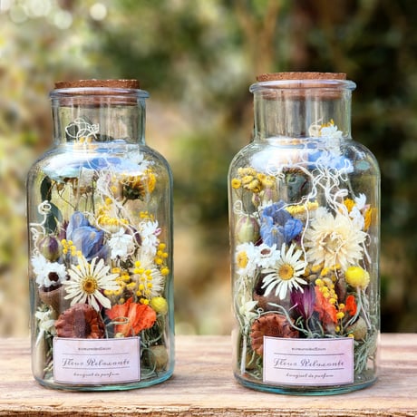 植物標本 | STORES