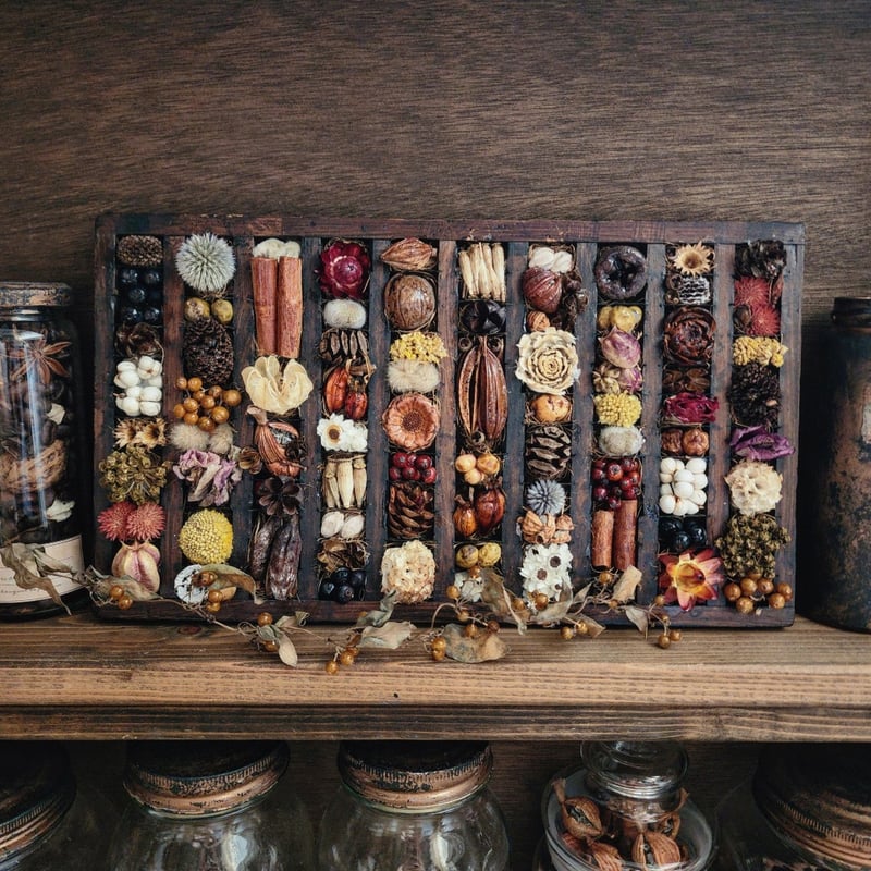アンティークトレイインテリア 植物標本ボックス | 𝑭𝒍𝒆𝒖𝒓
