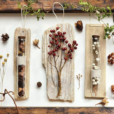 errer 根っこ付き水草 筆記体タグ付き 植物標本 アンティーク 樹脂標本 errer 根っこ付き水草 筆記体 植物標本 アンティーク 樹脂標本