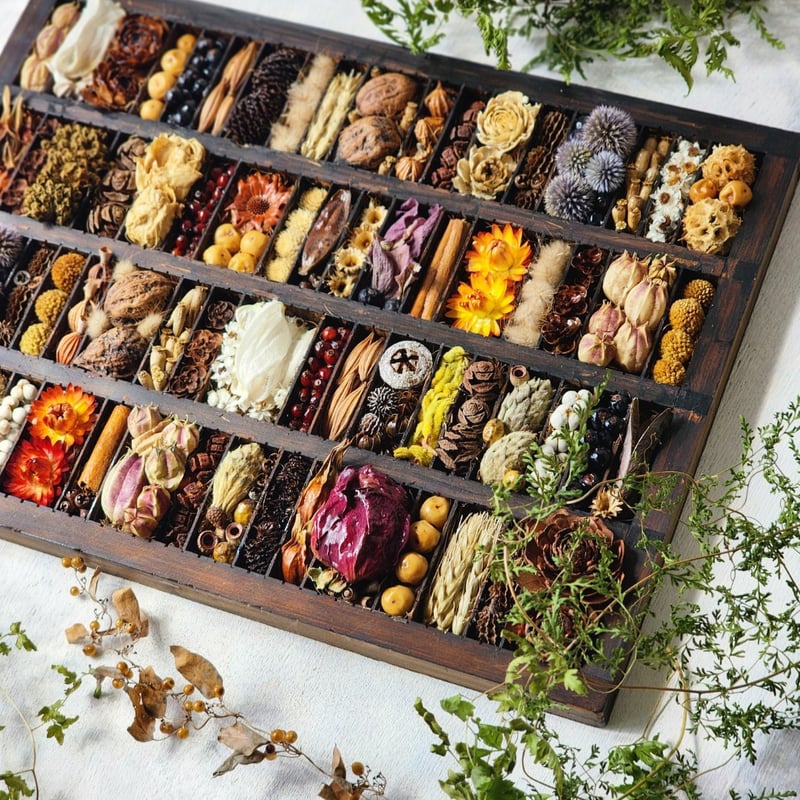 大きなアンティークトレイインテリア 植物標本ボックス | 𝑭𝒍𝒆𝒖𝒓
