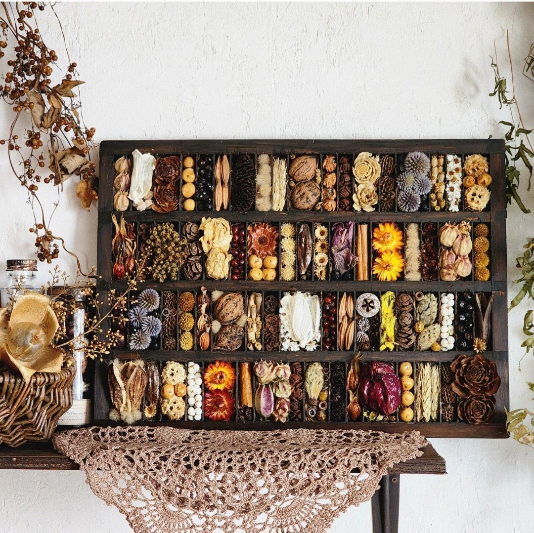errer 樹脂標本 7種 植物標本 木箱入り 古道具 アンティーク
