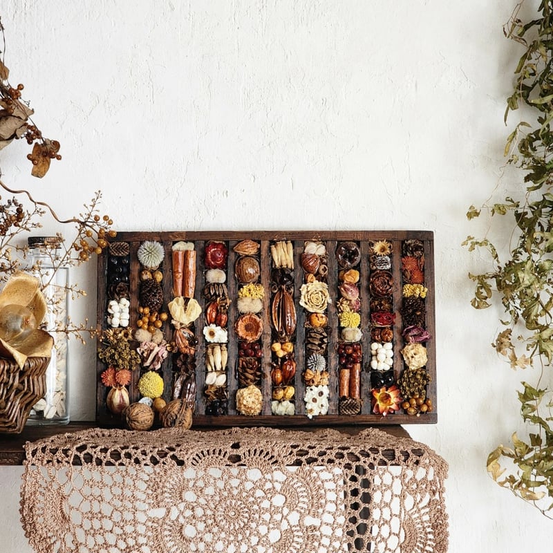 アンティークトレイインテリア 植物標本ボックス | 𝑭𝒍𝒆𝒖𝒓