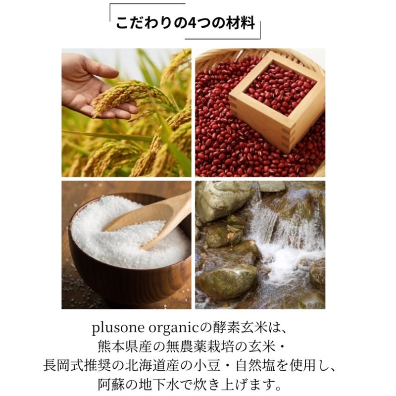 長岡式酵素玄米 真空パック 80g×10パック | plusone organic store
