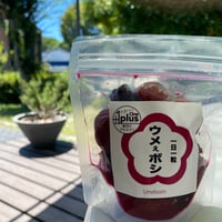 【季節限定】「ウメぇボシ」（梅干し）LLサイズ8個＋紫蘇入