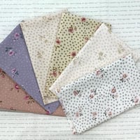 こうの早苗40周年記念復刻セレクションセット⑤