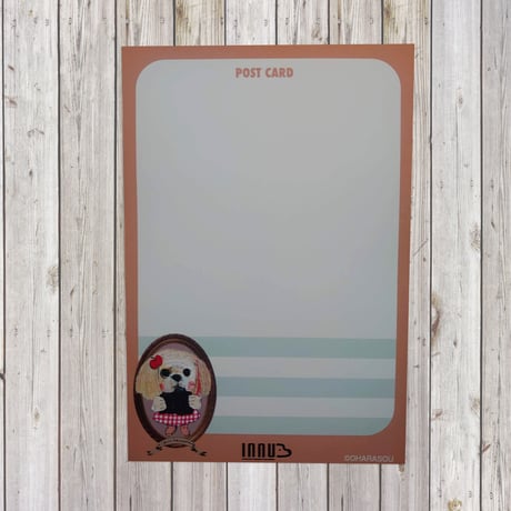 ポストカード　   Shih Tzu(シーズー）