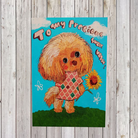 ポストカード　Toy Poodle（トイプードル）