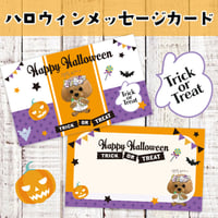 <期間限定：うちの子>ハロウィンメッセージカード 50枚入り