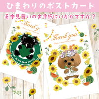 うちの子ひまわりのポストカード