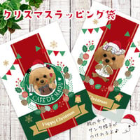 <期間限定：うちの子>クリスマスラッピング袋50枚