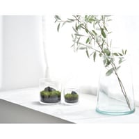 苔テラリウム GLASST MOSS 栽培セット L