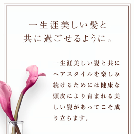 アローブ　COトリートメント  600g(詰替用)