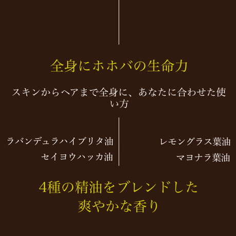 ホホバトリートメント(抗酸化トリートメント)  490g