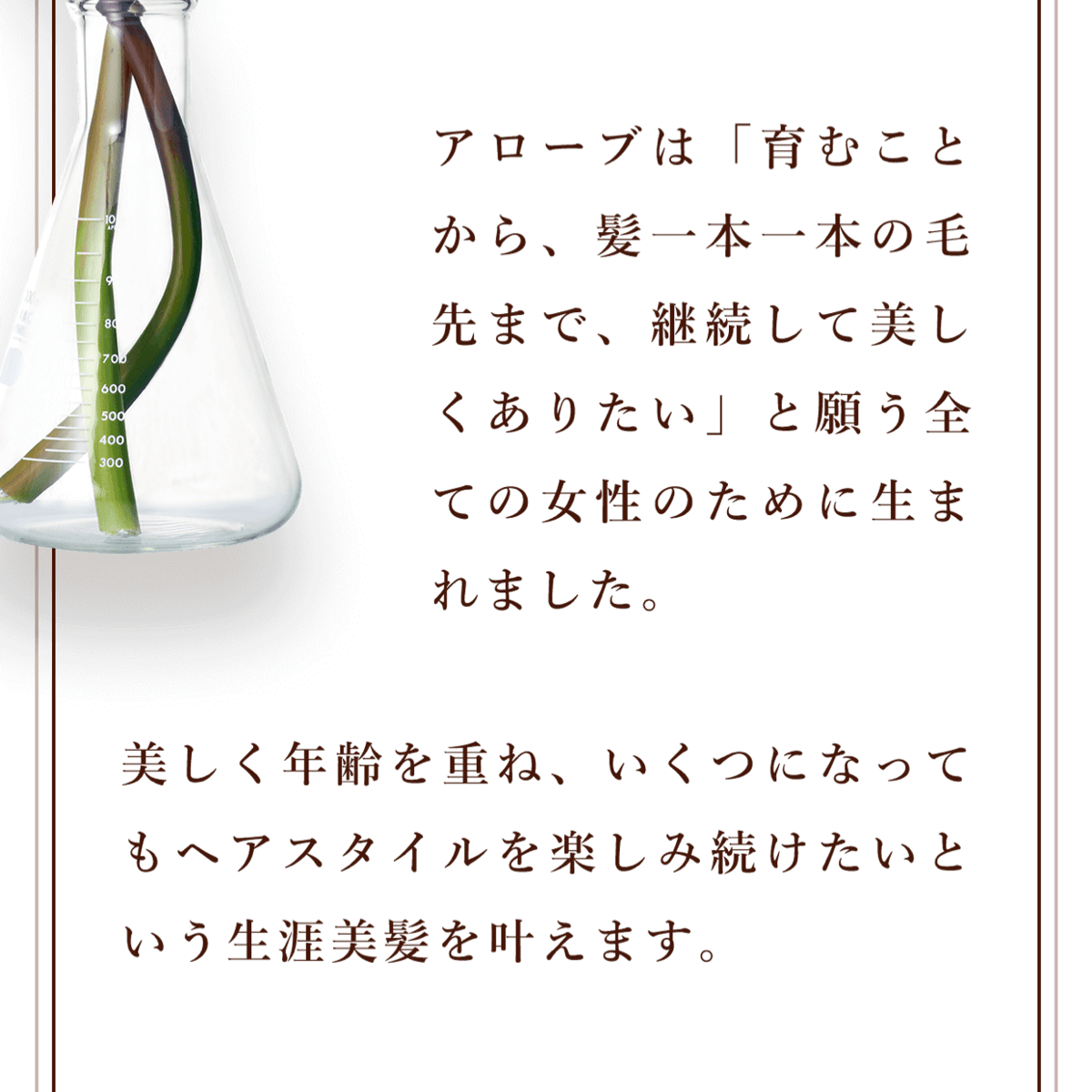 アローブ シャンプーMO 250ml | Triangle hair&organic STORE