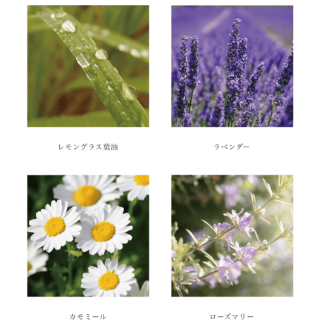 ホホバオイルクレンズ  170ml