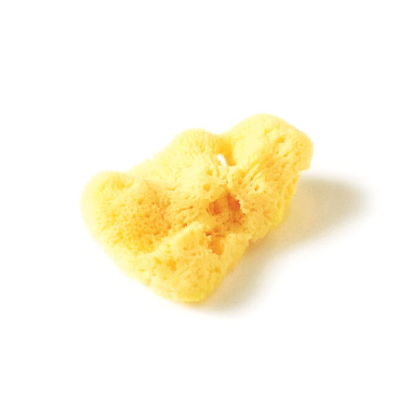 天然海綿シルクスポンジ（フェイシャル・デコルデ用） | もち肌化粧店