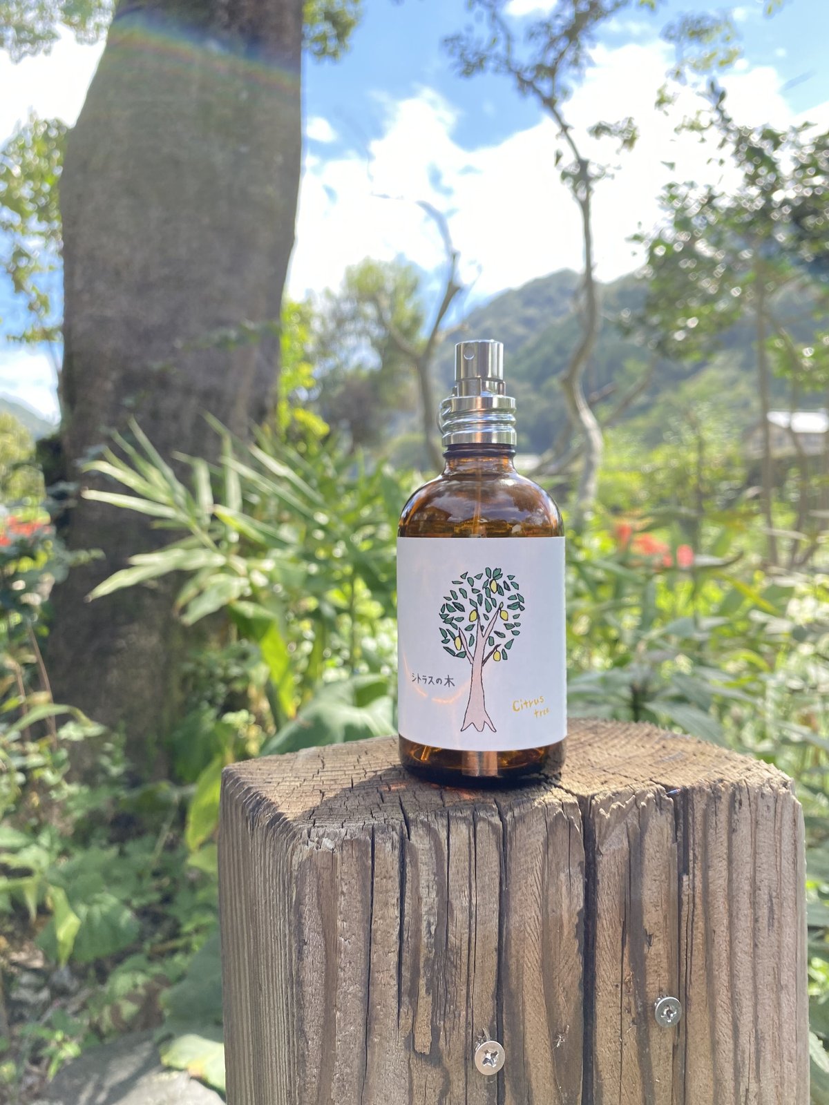 アロマスプレー・シトラスの木 | もち肌化粧店