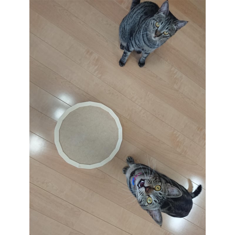 NEKO-OKE (猫が丸まる木製の桶) スタンダード | TAG MILLING STORE