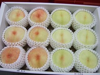 白桃（12個入） | 岡山浅口の白桃と手作り加工品 佐藤果樹園ネットショップ