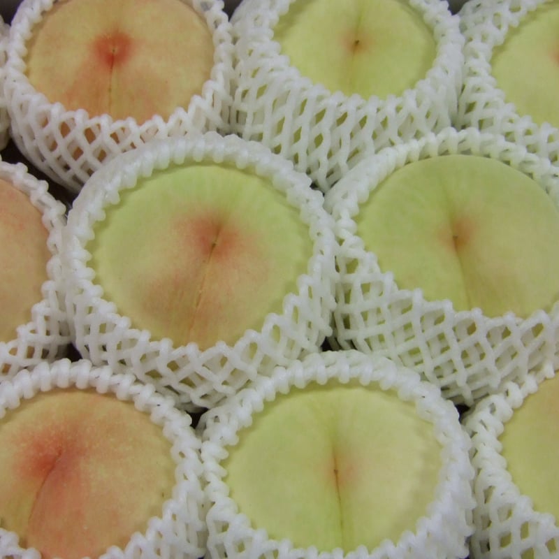 白桃（8個~9個入） | 岡山浅口の白桃と手作り加工品 佐藤果樹園ネット