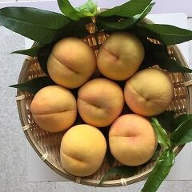 白桃（8個~9個入） | 岡山浅口の白桃と手作り加工品 佐藤果樹園ネット
