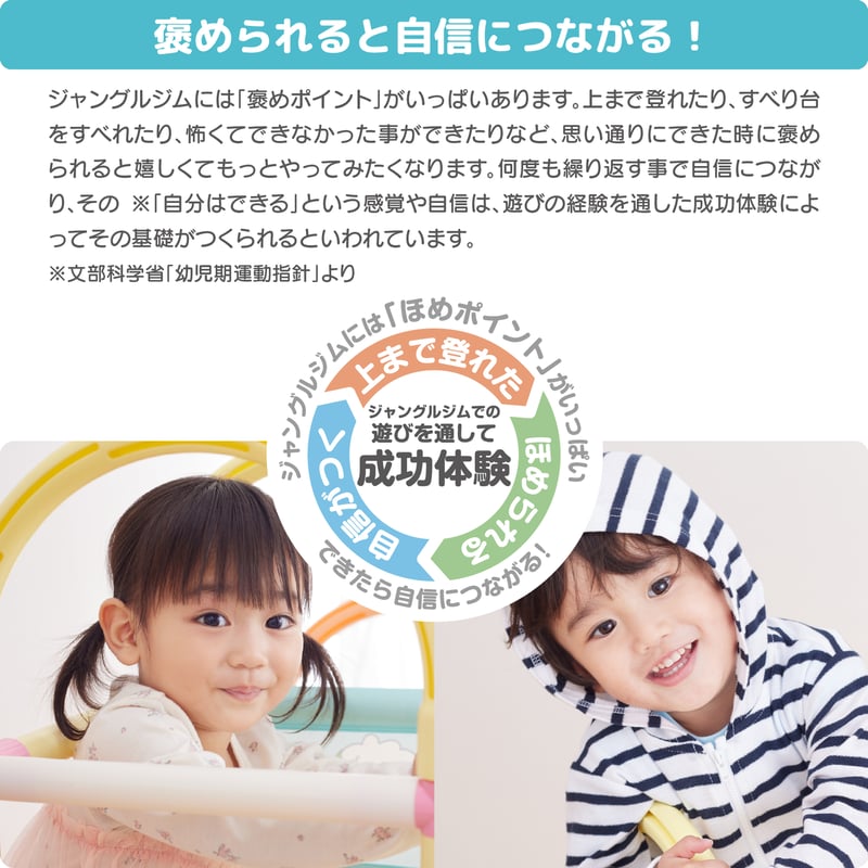 ワンワンとぽぅぽ おりたたみロングスロープジム | NONAKA WORLD STORE