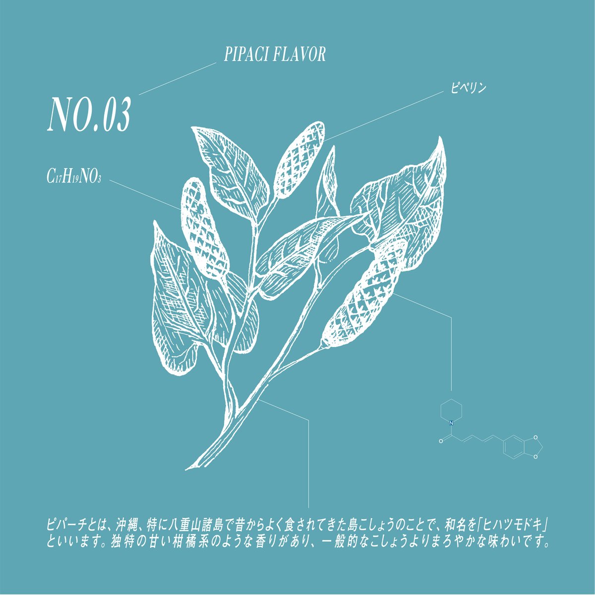 No.03 CHAI COFFEE PIPACI | SPICE COFFEE LAB