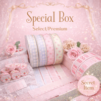 Special Box2025