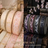 Spring Collection 2026 Complete set